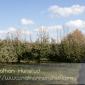 Apple_Orchard_2008-10-18_IMG_2351