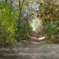 Barn_Bluff_2008-10-18_IMG_2397
