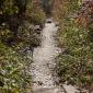 Barn_Bluff_2008-10-18_IMG_2404