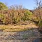 Root River Redux