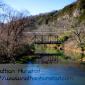Bridge over the Root River