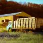 Old Truck