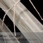 20101015-IMG_7410