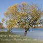 Wabasha_2008-10-25_IMG_2483