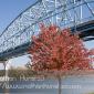 Wabasha_2008-10-25_IMG_2488