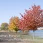 Wabasha_2008-10-25_IMG_2498