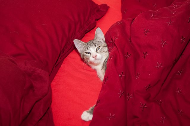 Sasha wonders who dare wake her up?