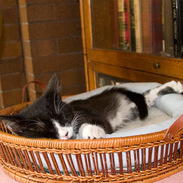 Omaha Trip July 2008