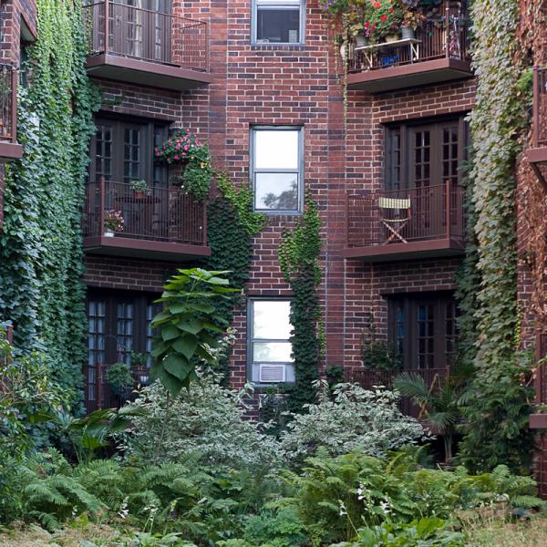 Saint Paul Walk 08-2008