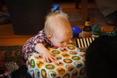 Eat all the presents!