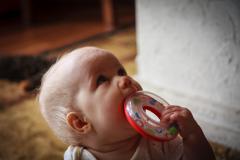 Another toy for Sonja